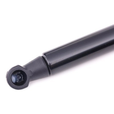Gasfeder, Koffer-/Laderaum RIDEX 219G0604 219G0604 - foto 4
