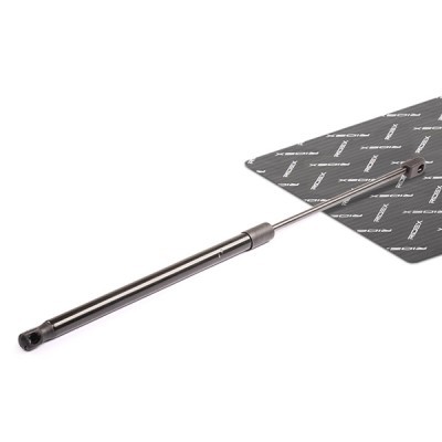 Gasfeder, Koffer-/Laderaum RIDEX 219G0207 219G0207 - foto 2