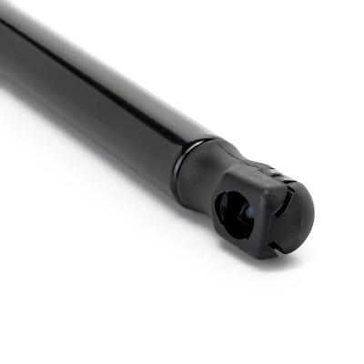 Gasfeder, Koffer-/Laderaum RIDEX 219G1366 219G1366 - foto 5