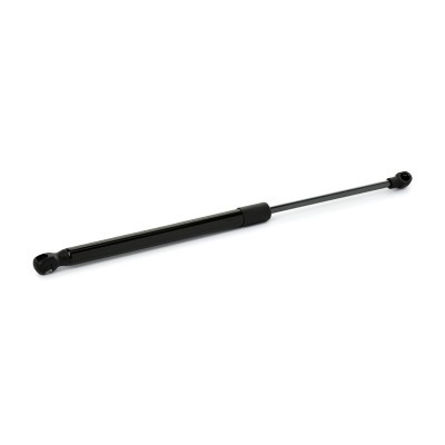 Gasfeder, Koffer-/Laderaum RIDEX 219G1120 219G1120 - foto 3