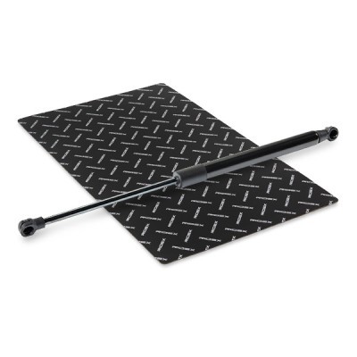 Gasfeder, Koffer-/Laderaum RIDEX 219G1161 219G1161 - foto 2