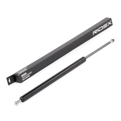 Gasfeder, Koffer-/Laderaum RIDEX 219G0866 219G0866 - foto 2