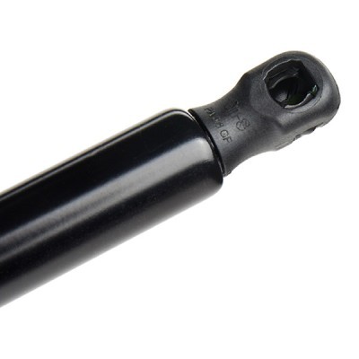 Gasfeder, Koffer-/Laderaum RIDEX 219G0244 219G0244 - foto 6