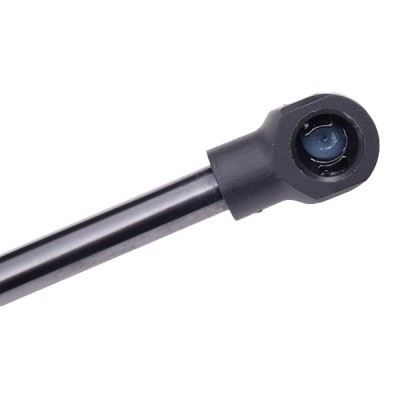 Gasfeder, Koffer-/Laderaum RIDEX 219G0604 219G0604 - foto 5
