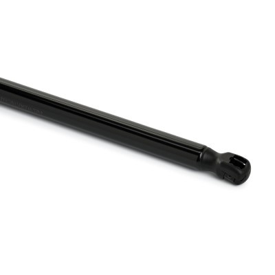 Gasfeder, Koffer-/Laderaum RIDEX 219G1111 219G1111 - foto 5