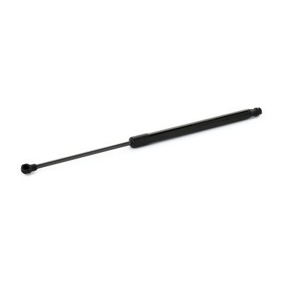 Gasfeder, Koffer-/Laderaum RIDEX 219G1094 219G1094 - foto 3