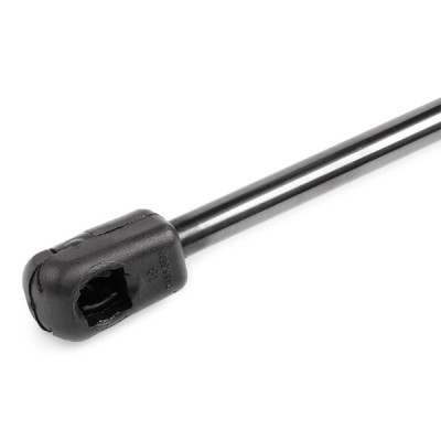 Gasfeder, Koffer-/Laderaum RIDEX 219G0668 219G0668 - foto 8
