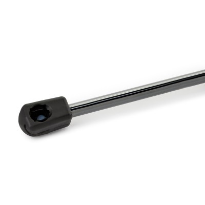 Gasfeder, Koffer-/Laderaum RIDEX 219G0080 219G0080 - foto 7