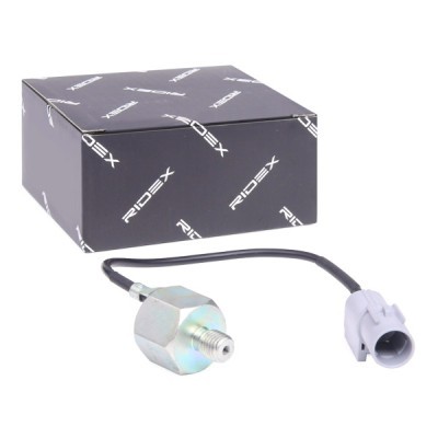 Klopfsensor RIDEX 3921K0053 3921K0053 - foto 2