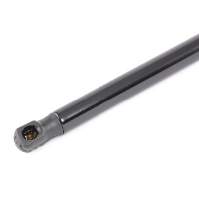 Gasfeder, Koffer-/Laderaum RIDEX 219G0906 219G0906 - foto 4