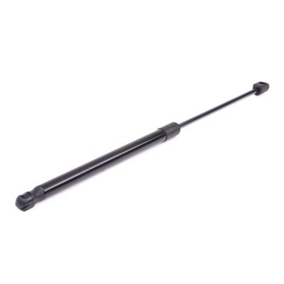 Gasfeder, Koffer-/Laderaum RIDEX 219G0063 219G0063 - foto 2