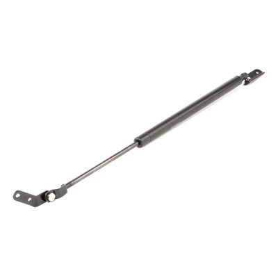 Gasfeder, Koffer-/Laderaum RIDEX 219G0846 219G0846 - foto 3