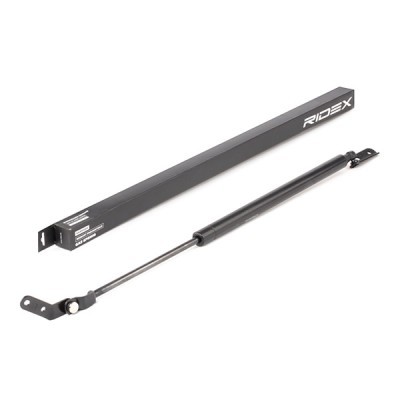 Gasfeder, Koffer-/Laderaum RIDEX 219G0846 219G0846 - foto 2