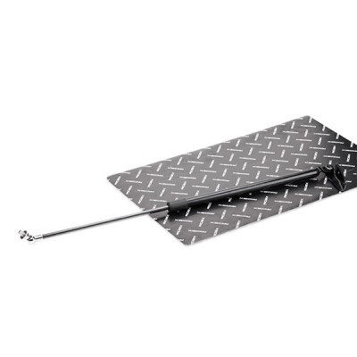 Gasfeder, Koffer-/Laderaum RIDEX 219G0513 219G0513 - foto 2