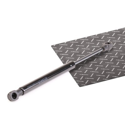Gasfeder, Koffer-/Laderaum RIDEX 219G0740 219G0740 - foto 2