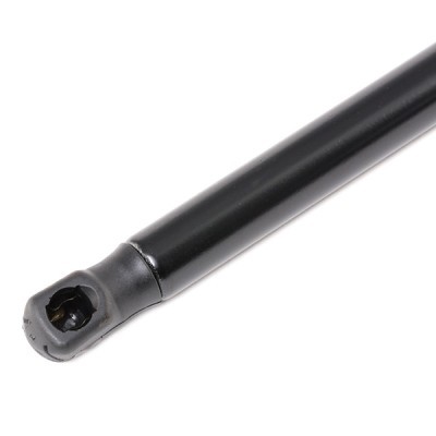 Gasfeder, Koffer-/Laderaum RIDEX 219G0830 219G0830 - foto 4