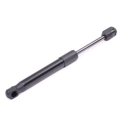 Gasfeder, Koffer-/Laderaum RIDEX 219G0458 219G0458 - foto 2