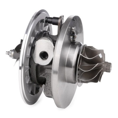 Turbolader-Kartusche (Einsatz) RIDEX 4973C0074 4973C0074 - foto 5