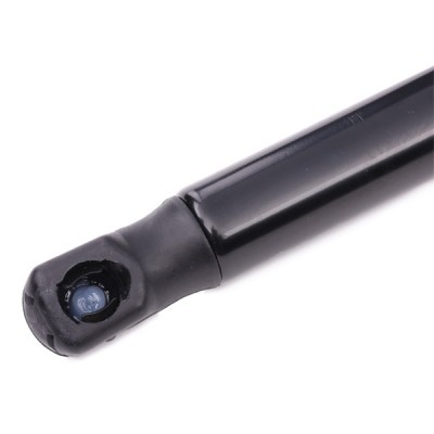 Gasfeder, Koffer-/Laderaum RIDEX 219G0097 219G0097 - foto 4