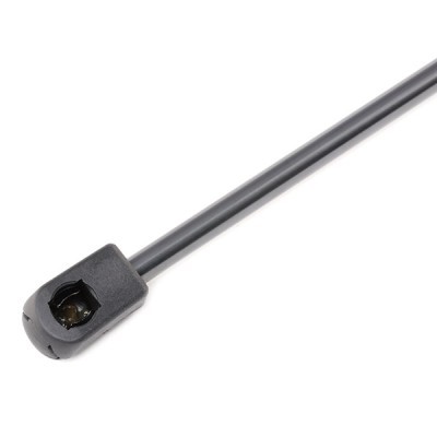 Gasfeder, Koffer-/Laderaum RIDEX 219G0830 219G0830 - foto 5