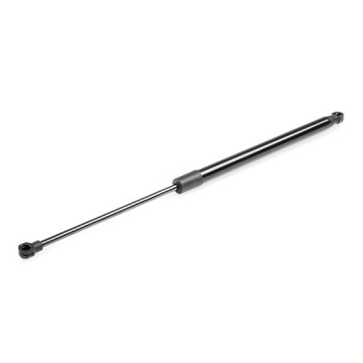 Gasfeder, Koffer-/Laderaum RIDEX 219G0869 219G0869 - foto 4