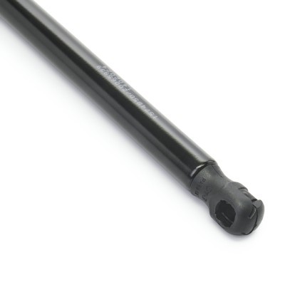 Gasfeder, Koffer-/Laderaum RIDEX 219G1257 219G1257 - foto 5