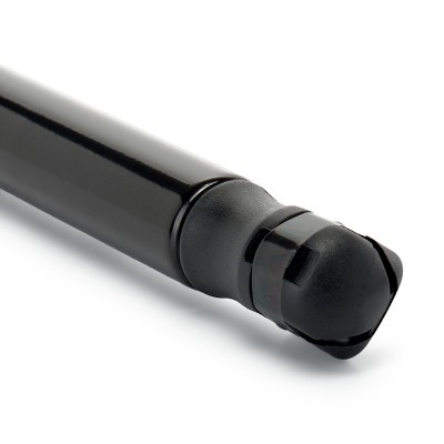 Gasfeder, Koffer-/Laderaum RIDEX 219G1495 219G1495 - foto 5