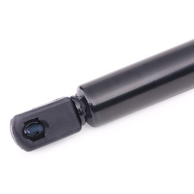 Gasfeder, Koffer-/Laderaum RIDEX 219G0544 219G0544 - foto 4