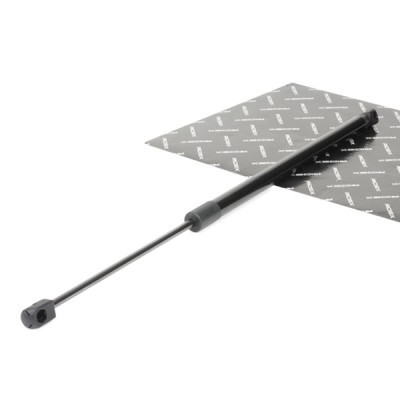 Gasfeder, Koffer-/Laderaum RIDEX 219G0533 219G0533 - foto 2