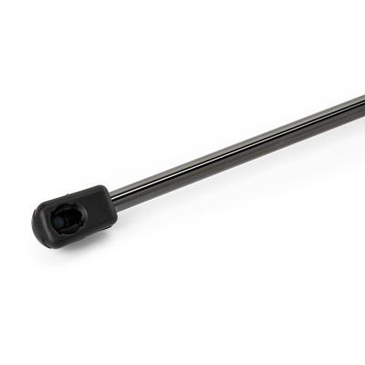 Gasfeder, Koffer-/Laderaum RIDEX 219G1256 219G1256 - foto 4