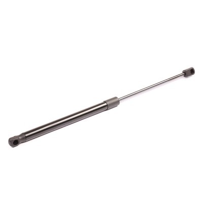 Gasfeder, Koffer-/Laderaum RIDEX 219G0040 219G0040 - foto 6