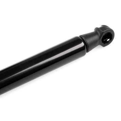 Gasfeder, Koffer-/Laderaum RIDEX 219G0732 219G0732 - foto 5