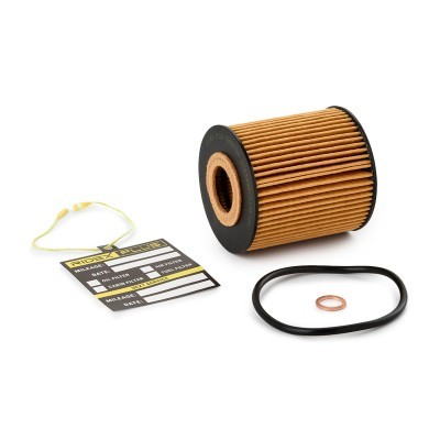 Ölfilter RIDEX 7O0070P 7O0070P - foto 2