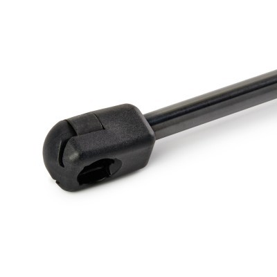 Gasfeder, Koffer-/Laderaum RIDEX 219G1021 219G1021 - foto 4