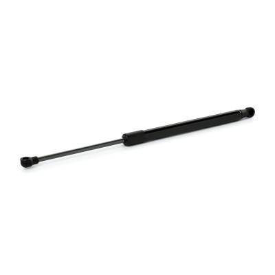 Gasfeder, Koffer-/Laderaum RIDEX 219G1169 219G1169 - foto 2