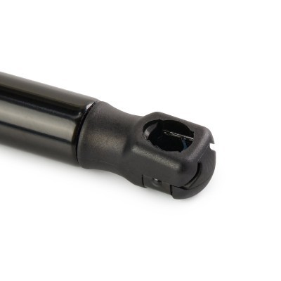 Gasfeder, Koffer-/Laderaum RIDEX 219G1024 219G1024 - foto 5