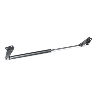 Gasfeder, Koffer-/Laderaum RIDEX 219G0812 219G0812 - foto 3