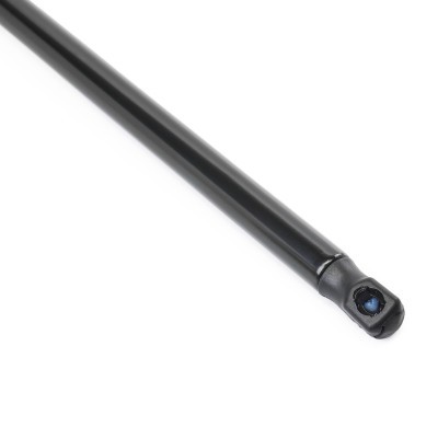 Gasfeder, Koffer-/Laderaum RIDEX 219G1163 219G1163 - foto 5