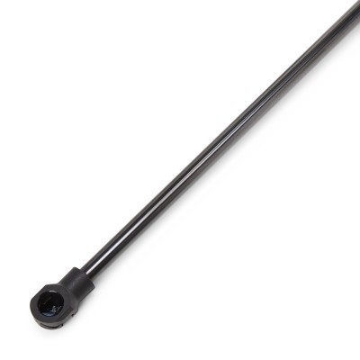Gasfeder, Koffer-/Laderaum RIDEX 219G1295 219G1295 - foto 4