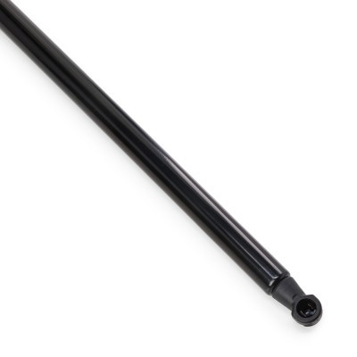 Gasfeder, Koffer-/Laderaum RIDEX 219G1295 219G1295 - foto 5