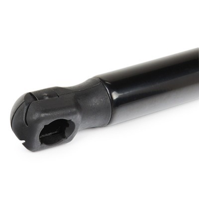 Gasfeder, Koffer-/Laderaum RIDEX 219G1089 219G1089 - foto 6