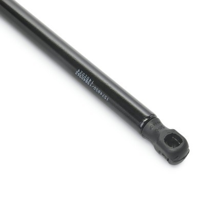 Gasfeder, Koffer-/Laderaum RIDEX 219G1200 219G1200 - foto 5