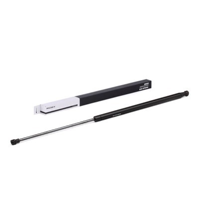 Gasfeder, Koffer-/Laderaum RIDEX 219G0361 219G0361 - foto 2
