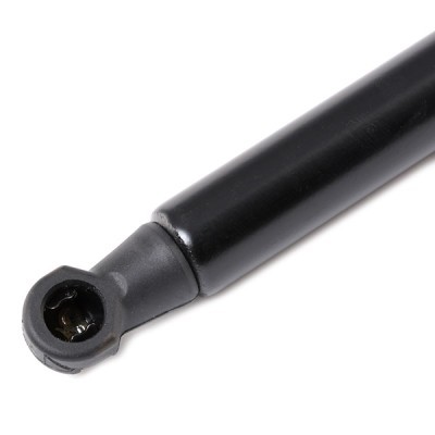 Gasfeder, Koffer-/Laderaum RIDEX 219G0911 219G0911 - foto 4