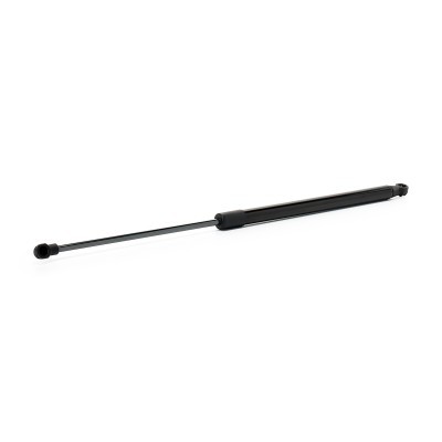 Gasfeder, Koffer-/Laderaum RIDEX 219G1276 219G1276 - foto 2