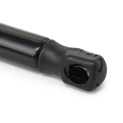 Gasfeder, Koffer-/Laderaum RIDEX 219G0413 219G0413 - foto 8