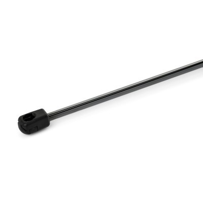 Gasfeder, Koffer-/Laderaum RIDEX 219G1143 219G1143 - foto 4