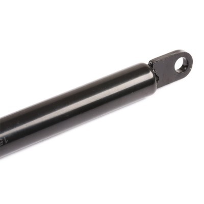 Gasfeder, Koffer-/Laderaum RIDEX 219G0238 219G0238 - foto 5