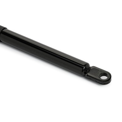 Gasfeder, Koffer-/Laderaum RIDEX 219G0954 219G0954 - foto 5