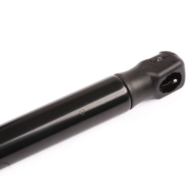Gasfeder, Koffer-/Laderaum RIDEX 219G0227 219G0227 - foto 5